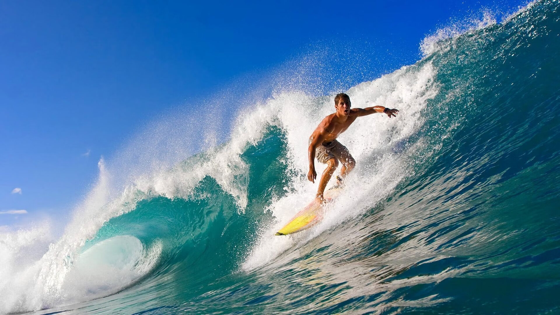 攻防一体!霍勒迪统治全场,广东力克鹈鹕展现团队韧性